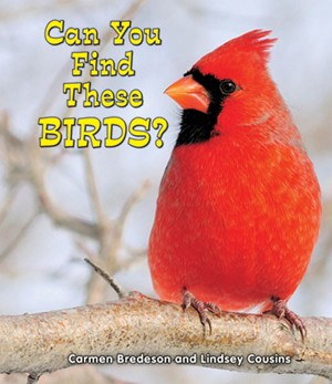 bird books for kids science books for kids bird books for kids science books for kids
