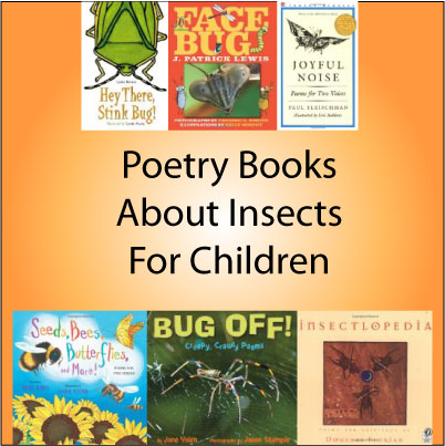 insects and spiders book