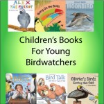 childrens-books-for-young-birdwatchers