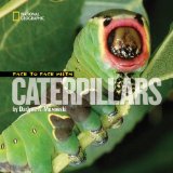 face-to-face-with-caterpillars