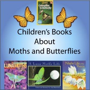 moth-childrens-books