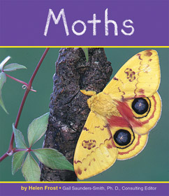 moths-frost