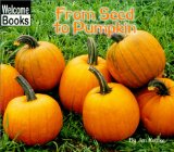 from-seed-to-pumpkin-kottke