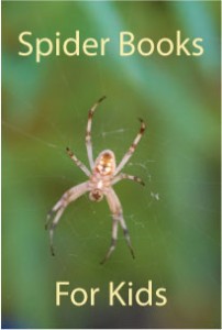 spider-books