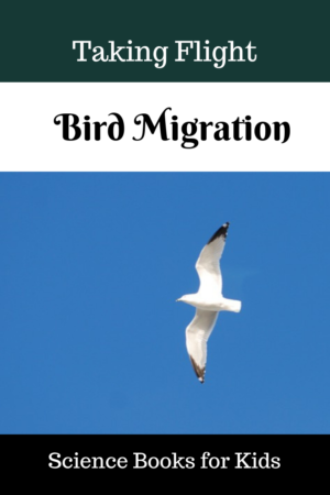 Taking Flight: Children’s Books About Bird Migration – Science Books ...