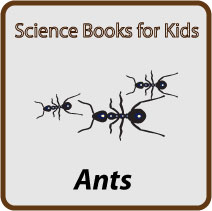 ant-books-button
