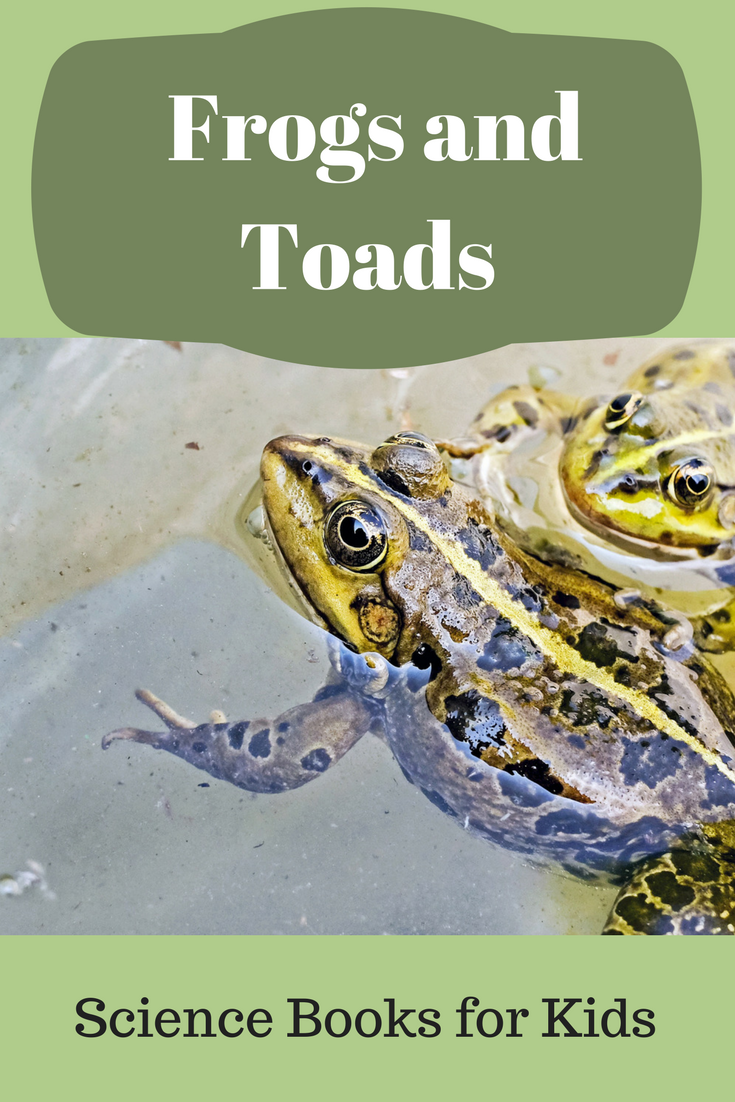 Children s Books About Frogs and Toads Science Books for Kids